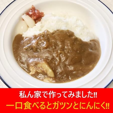 辛口カレー にんにく カレー レトルト 辛口 ニンニク レトルトカレー にんにく 北海道 ポークカレー 1個 レトルト カレー 惣菜