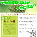 涙がでるほど辛い わさびの種 激辛 クセになる辛さ ハッピーカンパニー 柿の種