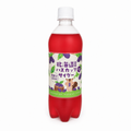 ハスカップサイダー 500ml 北海道