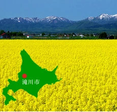 北海道滝川産 合鴨カレー 中辛 180g