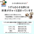 うずら卵水煮 固形量150g 缶詰 JAS 国産 7号缶 約18-20卵 給食 業務用食材 常温長期保存 ラーメン トッピング 焼き鳥 うずら卵串 - お菓子の王国はっぴーディアーズ