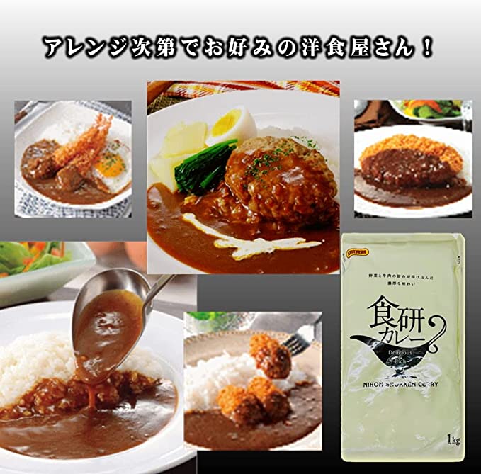 食研カレー 1袋 (1kg)  日本食研［業務用］